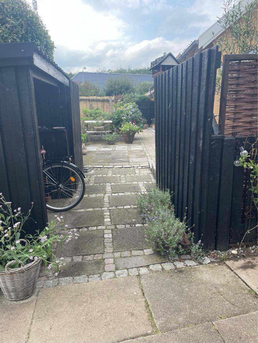 Fældning af træ og bortkørsel