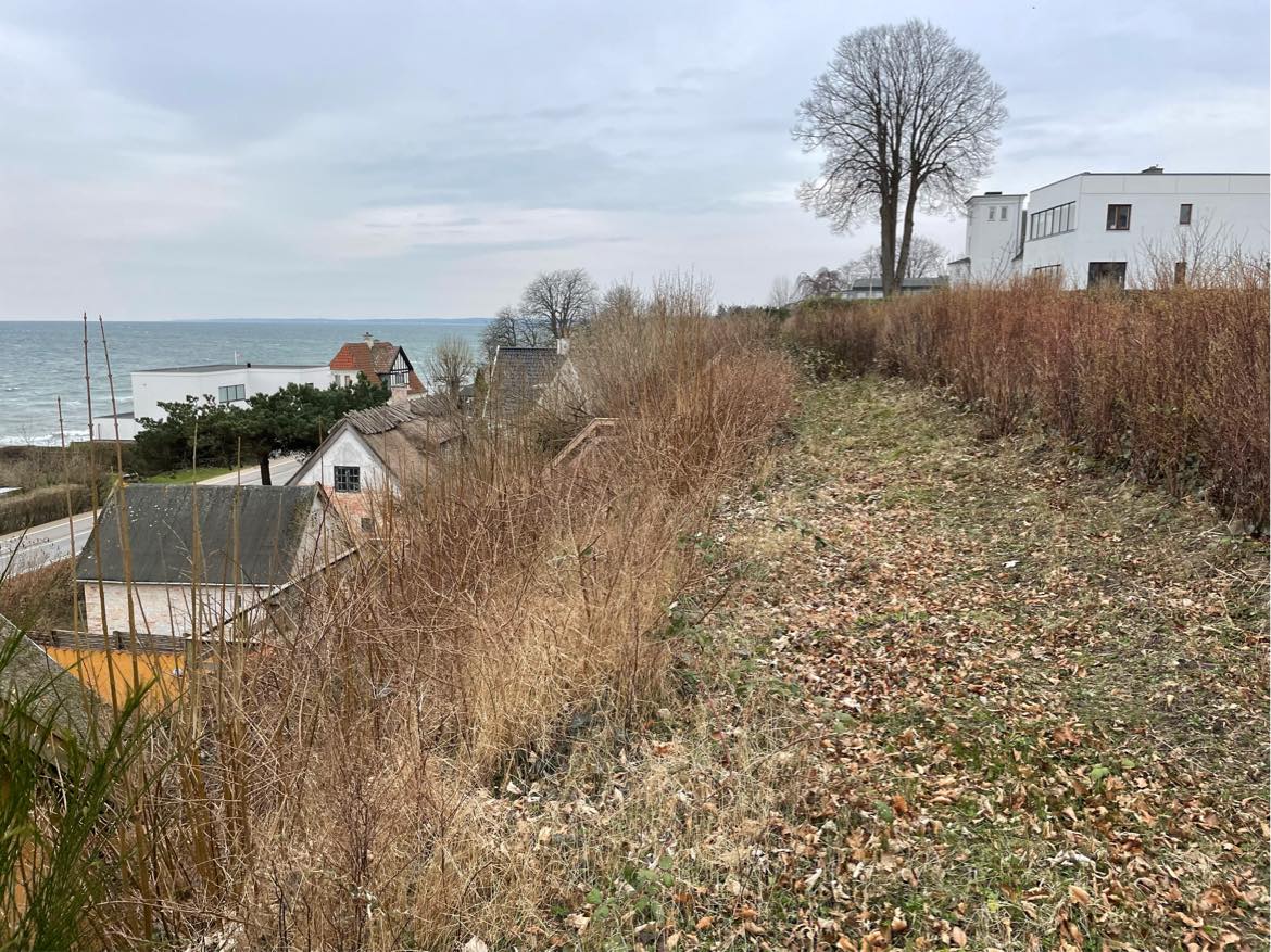 Kraftig beskæring af skrænt på ca 400 m2. Skrænten er relativt stejl. Skal beskæres fra ca 1 meter til 50 cm.