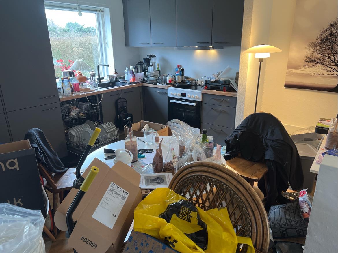 Hjælp til at komme på plads efter flytning. Samle reoler, opsætning hylder, ophængning af TV samt tømme flyttekasser. Ordne køkken og rengøre.