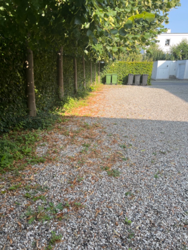 Slå græs og fjerne ukrudt 1000 m2 have