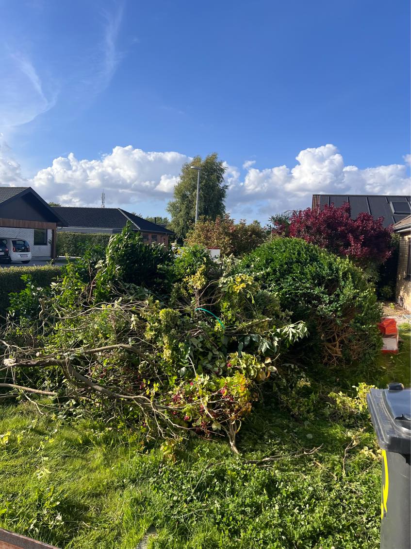 Få hentet haveaffald