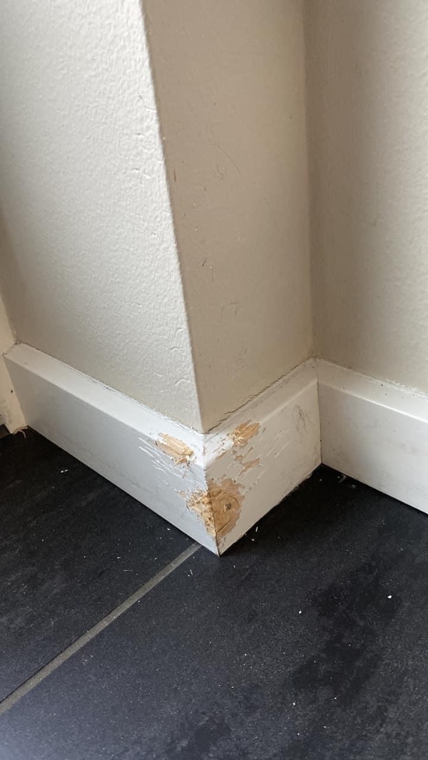 Udskiftning/rep af dørkarm/gulvpanel
