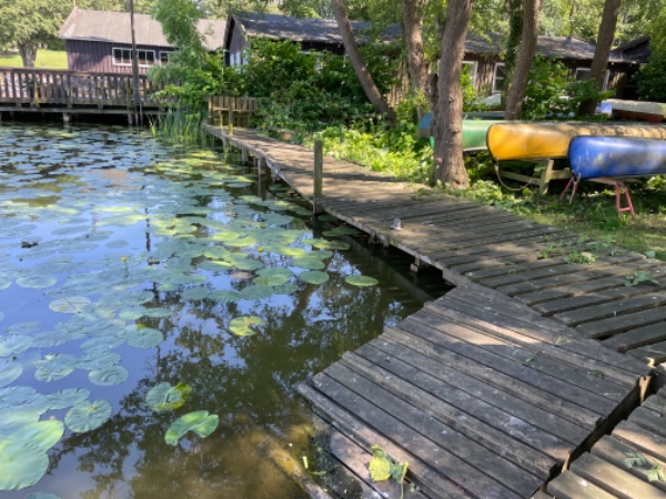 Reparation af træbro, porten og brædder