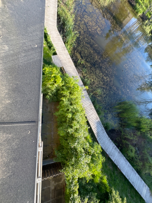 Hækklipning med bortskaffelse