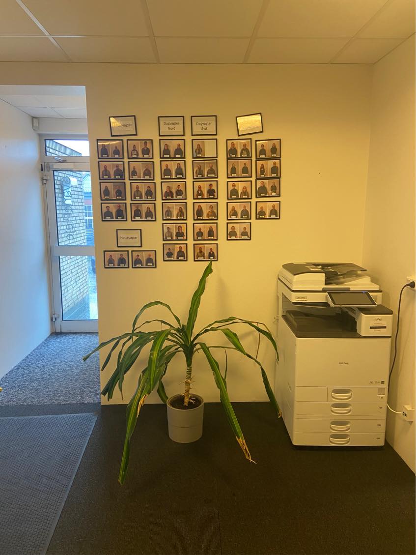 Små billeder hænges op på væg