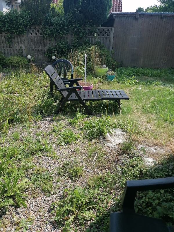 Klippe hæk og fjerne ukrudt