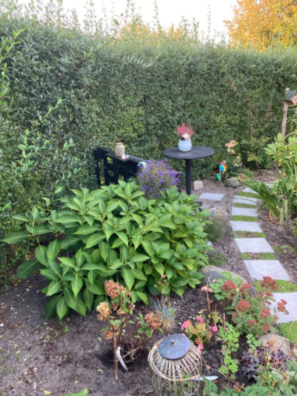 Hjælp til lugning ved hækken i lille rækkehushave (hæk både  for og bag huset)+ evt. små ændringer i