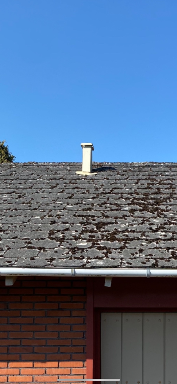 Montering af taghætte