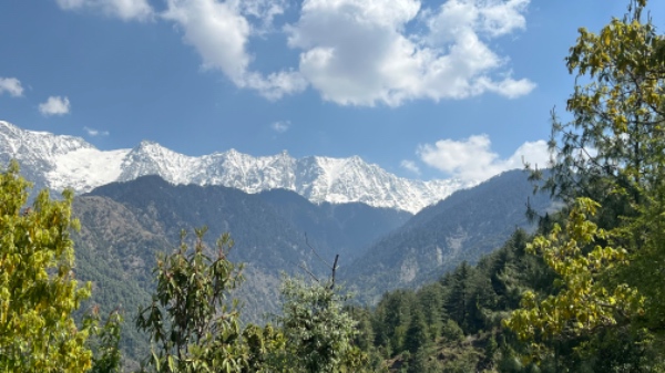 Bær gaskomfur til storskrald