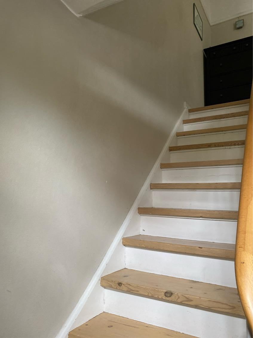 Tæppe på trappe samt entre og repos