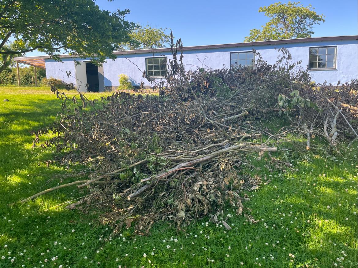 Bortkørsel af haveaffald