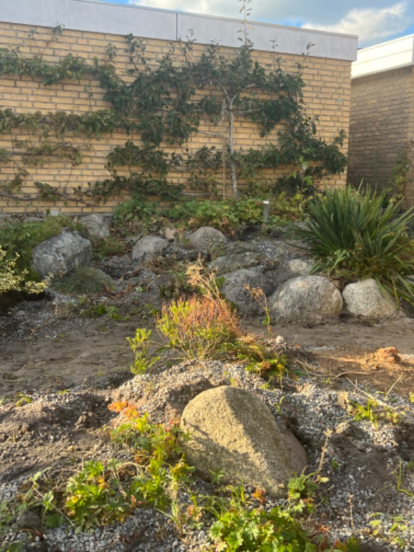 Flytning af ca 20/25 sten