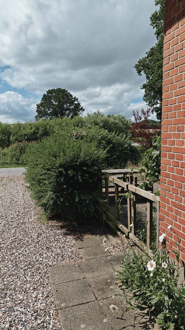 Græsslåning og hækklipning