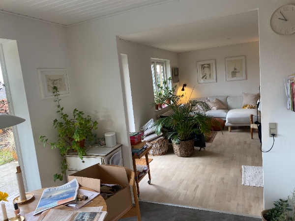 nedrivning af murdele i køkken, reparation af klinkegulv, bortkørsel af materiale