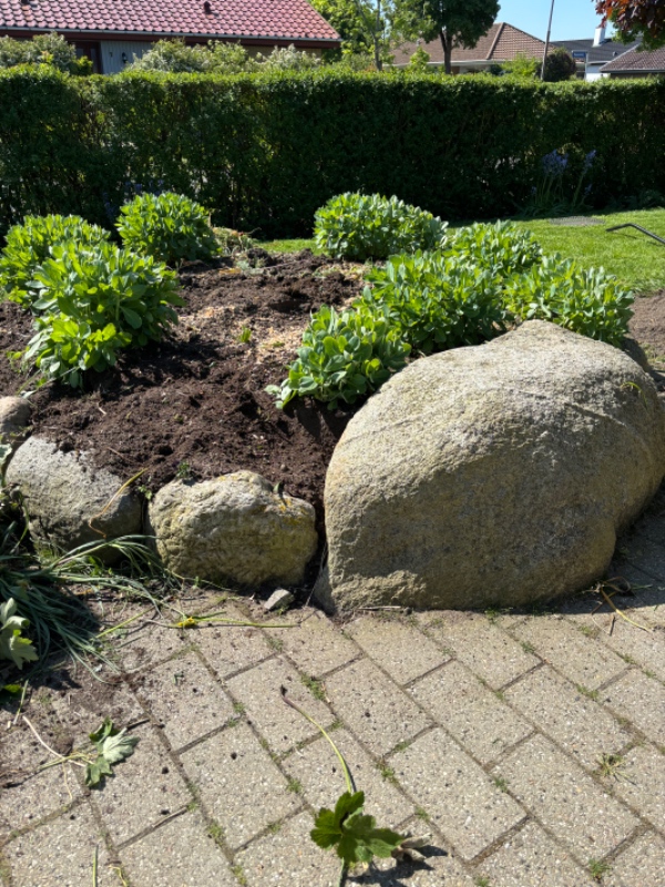 Afhentning af kampesten