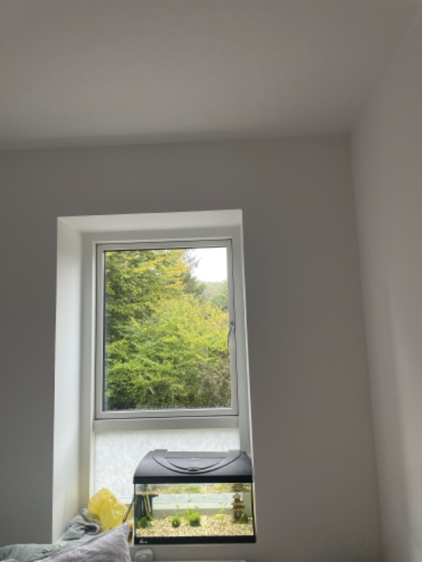 Ophæng af rullegardiner og lamp