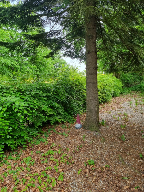 Hækkeklip samt blade væk