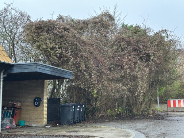 Bortkørsels af affald