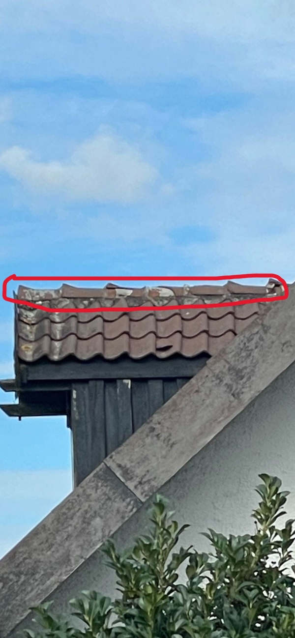 Udskiftning af 4-5 rygningssten.