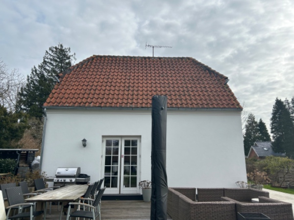 Reparation af tagryg