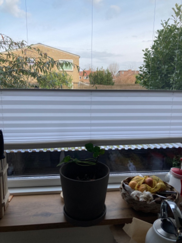 Rullegardin pilles ned og nyt sættes op