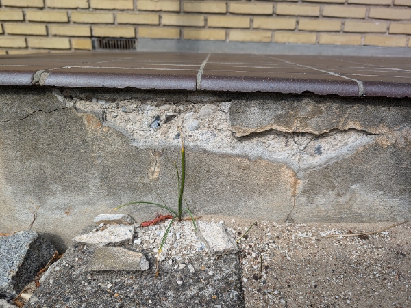 Reparation af beton trappetrin