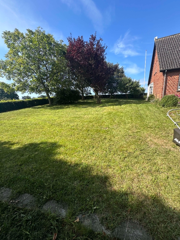 græsslåning