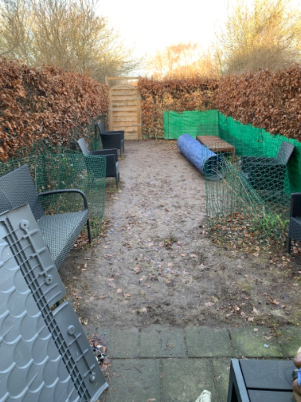 Græsplæne på 30 kvadratmeter