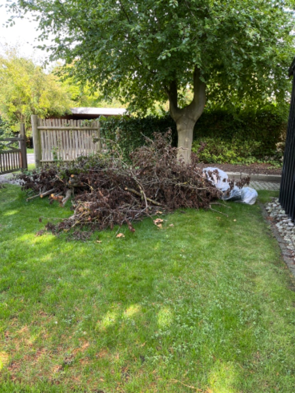 Oprydning til genbrug