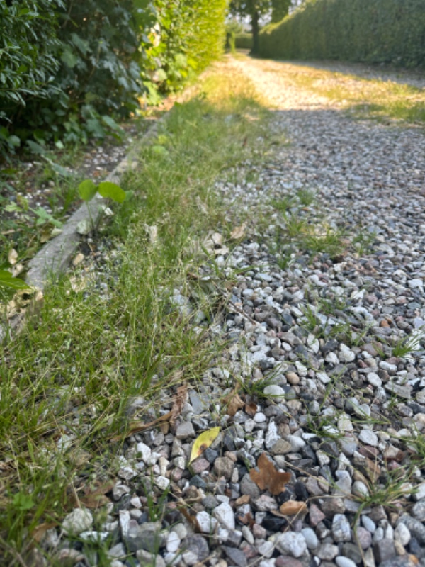 Klipning af hæk og fjerne ukrudt