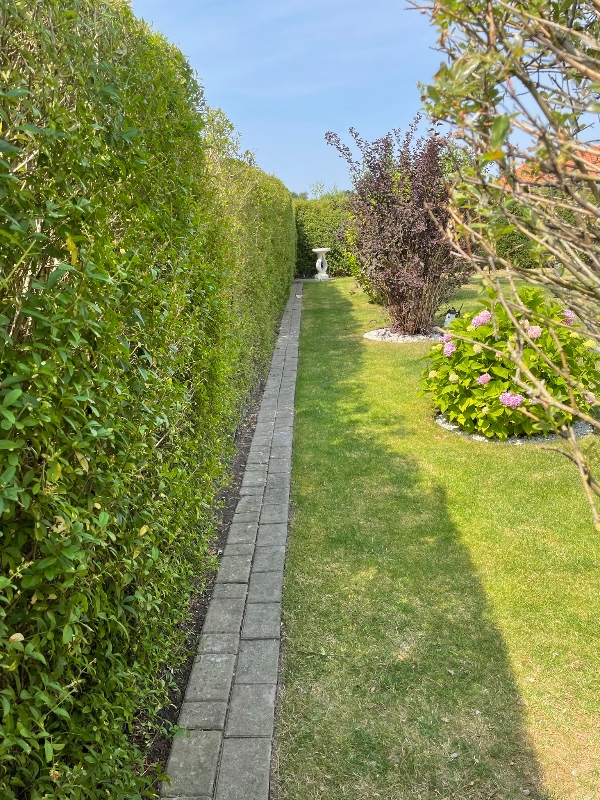 Kattesikring af have