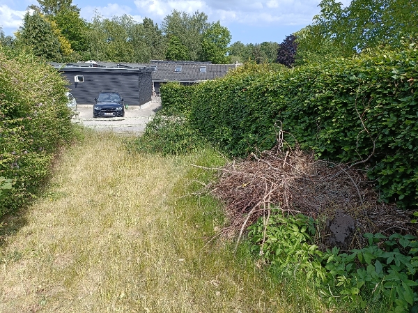 Udbæring samt bortkørsel af takshæk