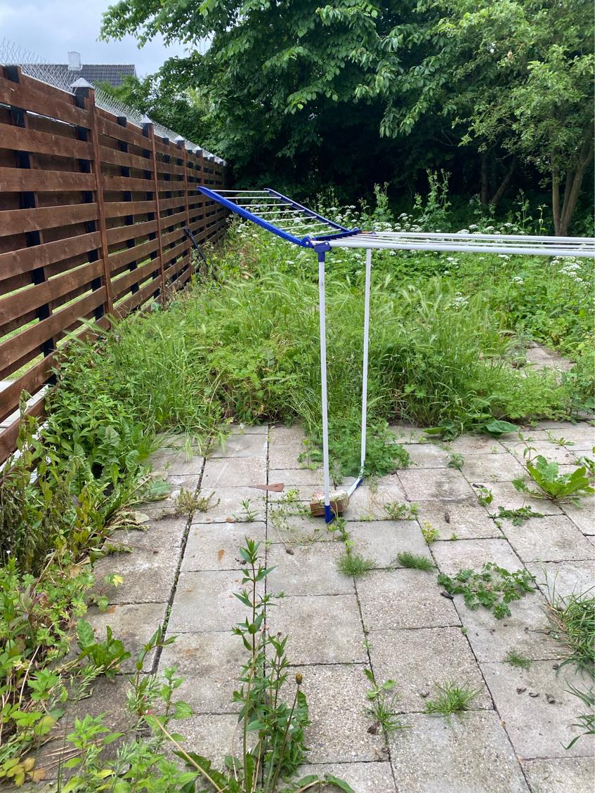 Alt græsset skal slås ned samt ukrudt skal fjernet