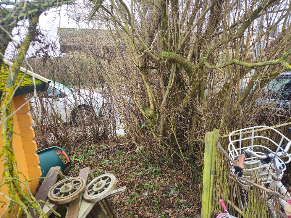 Fælde træ, hæk og lille hegn. Løsne jord.