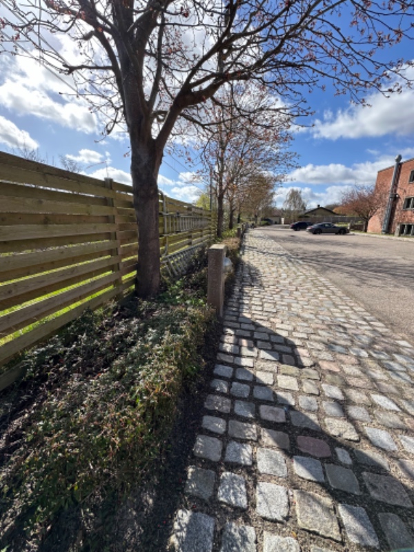 Græsslåning og hækklipning