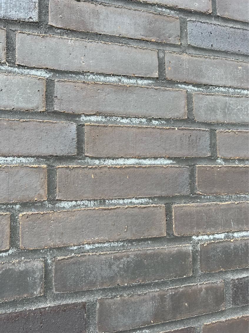 Afrensning af kalkudfældning på murværk