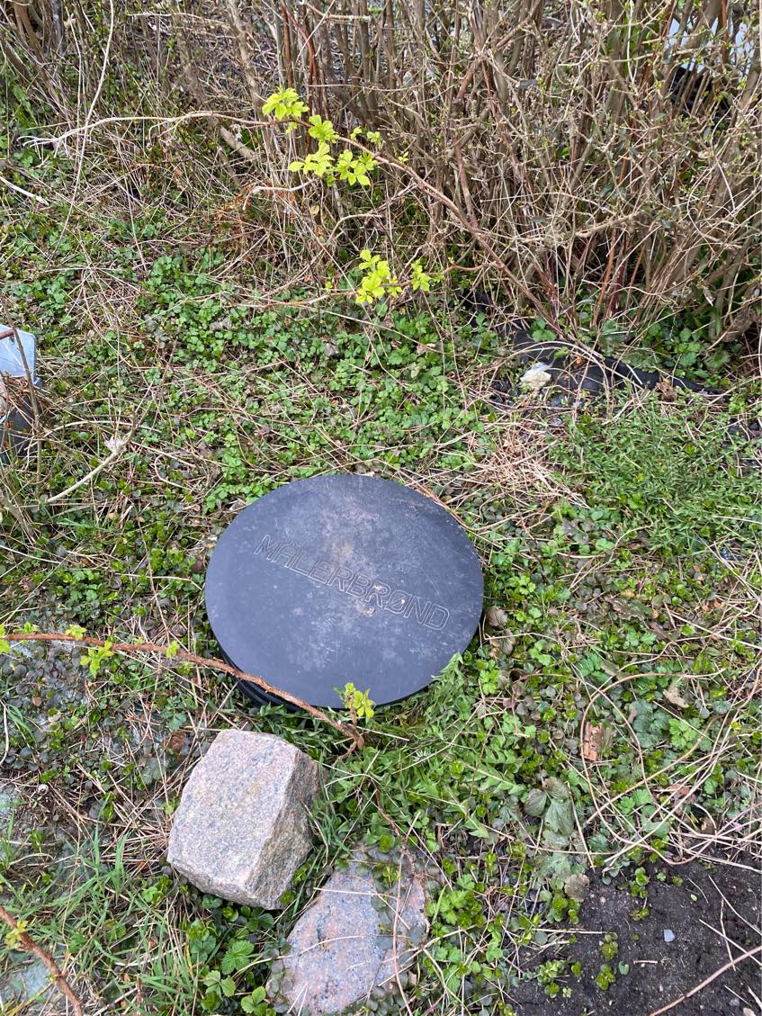 Ryddet en forhave for gamle højbede og spredt jorden ud, og tromlet, så jeg kan så græs.