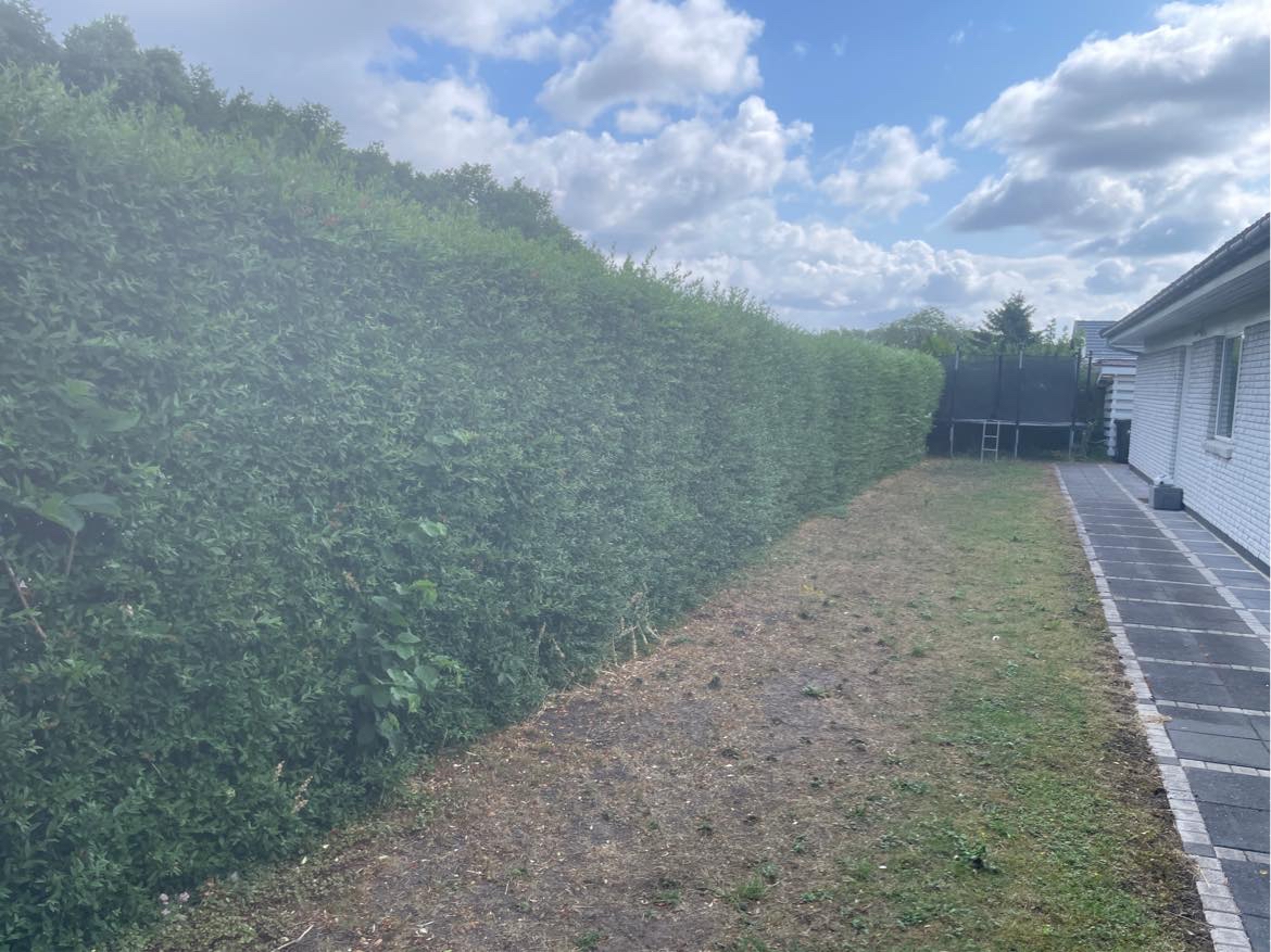 Hjælp til at slå hæk