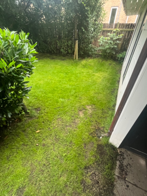 Faskine nedgravet ved skur