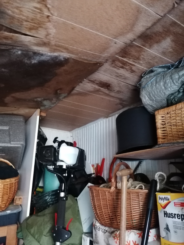 Nye loft plader i gammelt udhus og nyt trapez plade tag på skur og carport