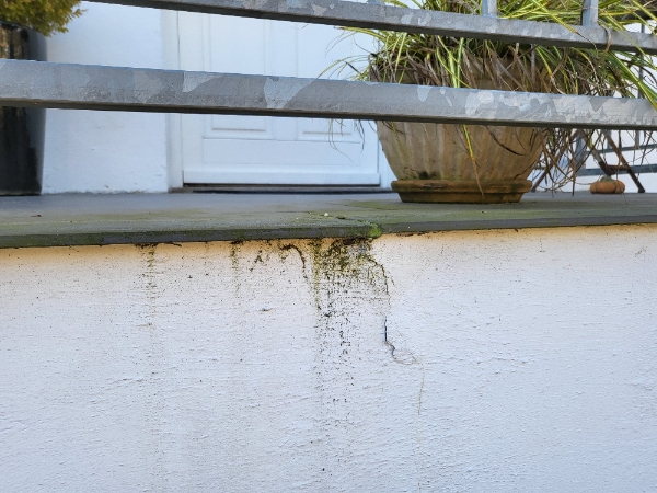 Repareret en udendørs trappe for frostskader