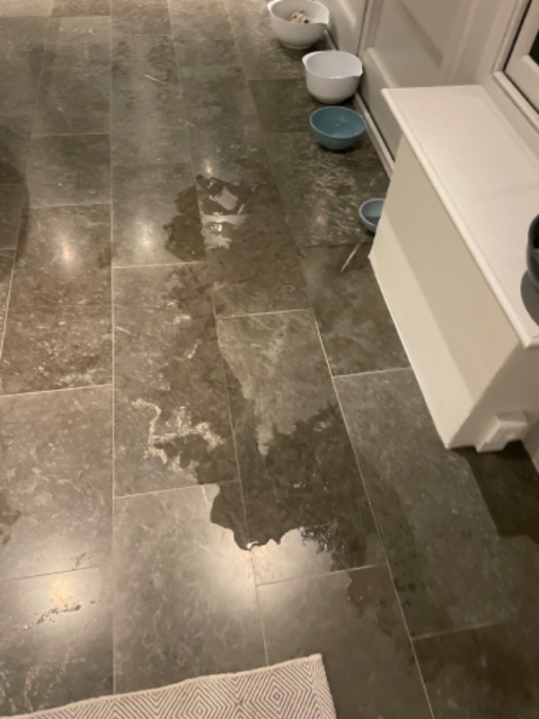 Der trænger vand ind i glasudestue