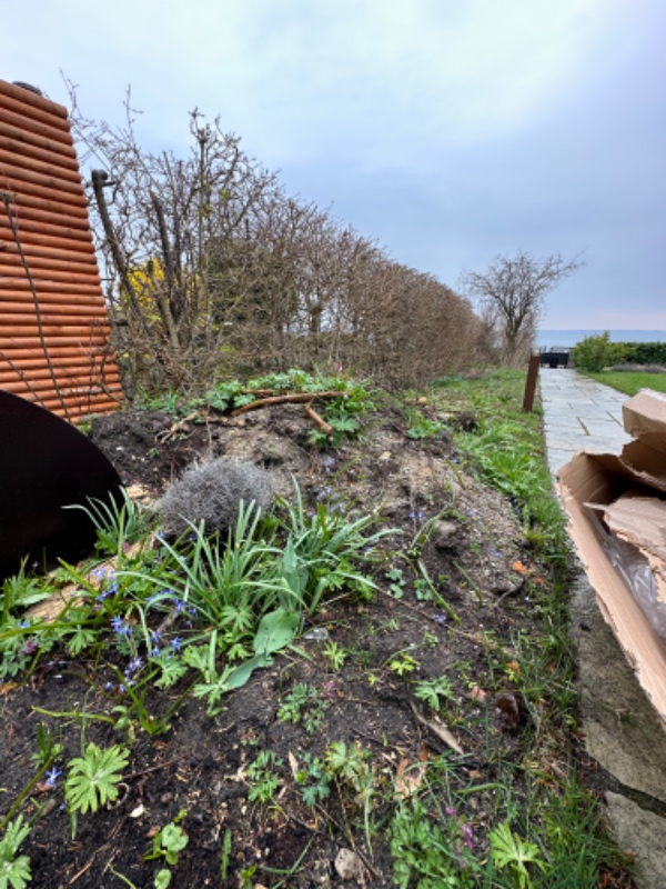 Afhentning af affald