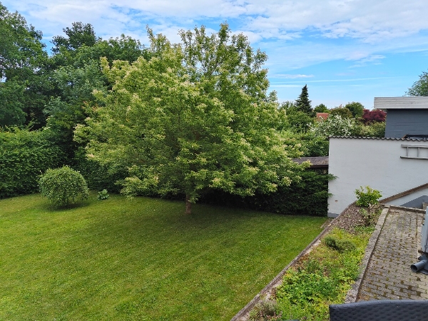 Hækkeklipning og bortskaffelse