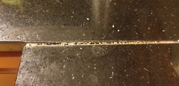 udskiftning af fuger