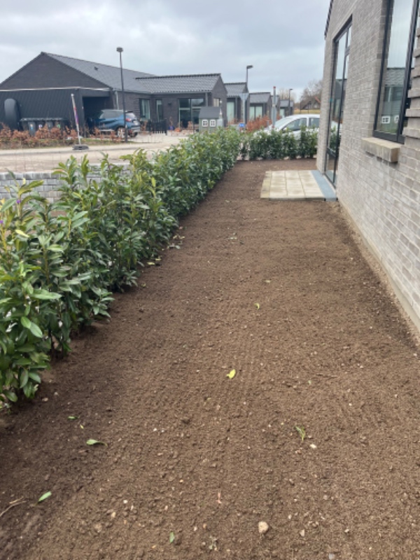 Levering og udlægning af rullegræs