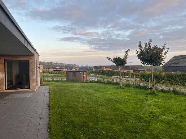 Luge ukrudt i hæk på ca. 50 meter i Hinnerup