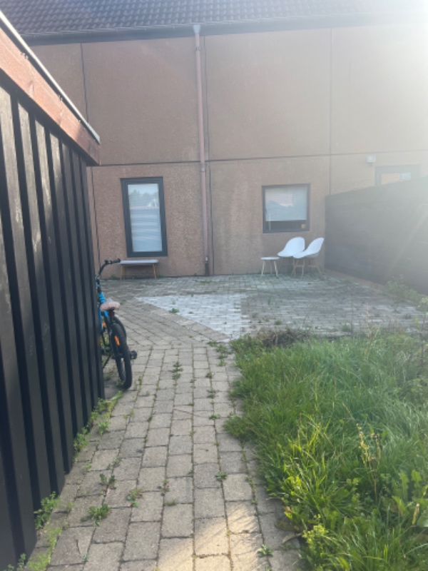 Fjernet en del ukrudt og slået græs evt, Haven er ikke den største ,  når det muligt