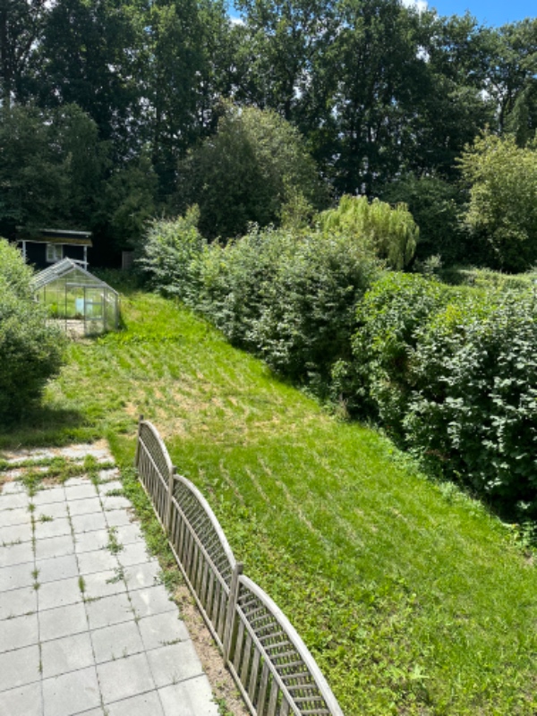 Hækklipning og græsslåning