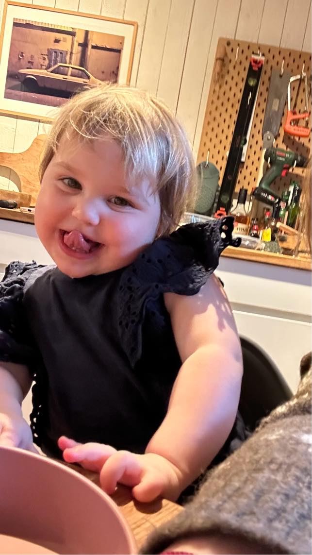 Reperere indvendig dør